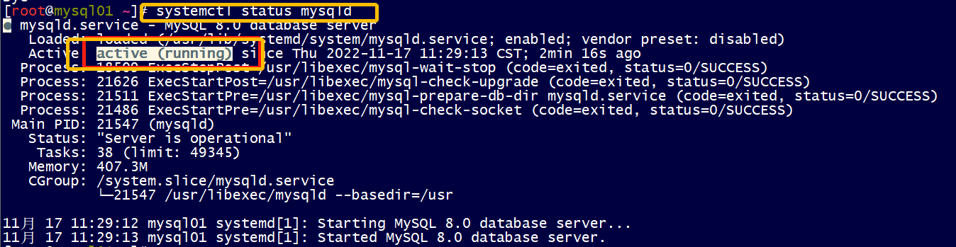 image-20221117113157830